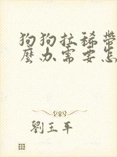 狗狗拉稀带血怎么办需要怎么治疗