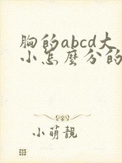 胸的abcd大小怎么分的