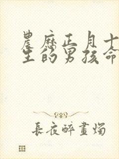 农历正月十五出生的男孩命运封面