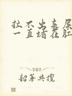 拉不出来屎感觉一直堵在肛门