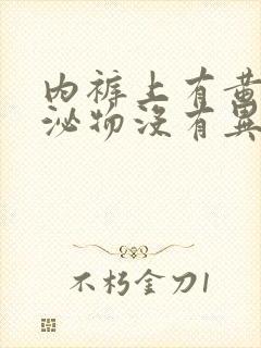 内裤上有黄色分泌物没有异味封面