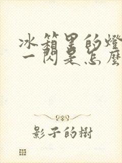 冰箱里的灯一闪一闪是怎么回事