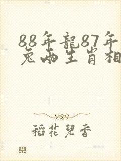 88年龙87年兔两生肖相配吗