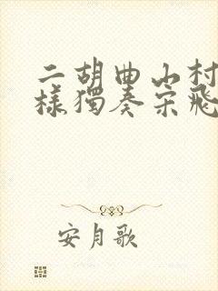 二胡曲山村变了样独奏宋飞