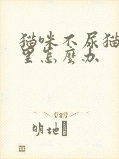 猫咪不尿猫砂盆里怎么办