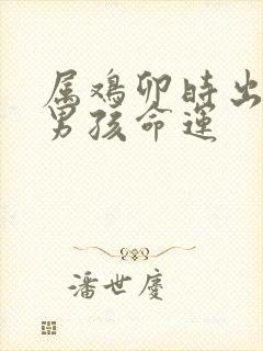 属鸡卯时出生的男孩命运