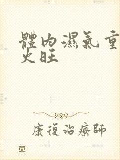 体内湿气重 肝火旺