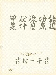 甲状腺功能衰退是什么原因引起的