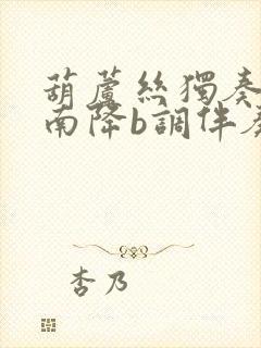 葫芦丝独奏赛江南降b调伴奏封面