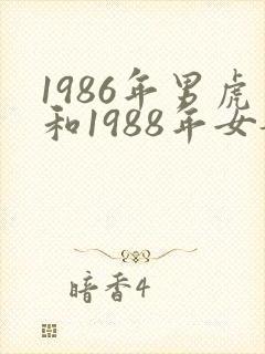1986年男虎和1988年女龙姻缘怎么样