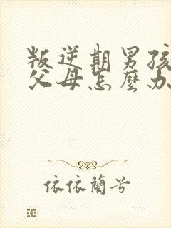 叛逆期男孩不理父母怎么办