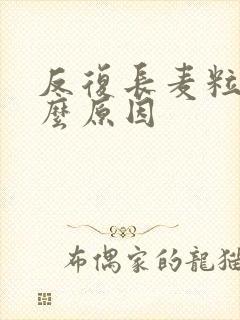 反复长麦粒肿什么原因