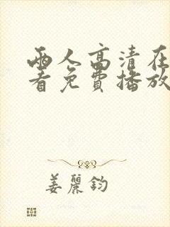 两人高清在线观看免费播放电视剧封面