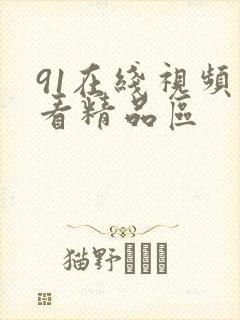 91在线视频观看精品区