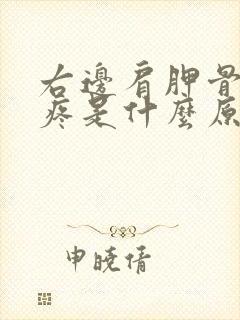 右边肩胛骨下边疼是什么原因封面