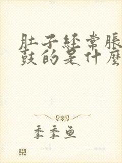 肚子经常胀气鼓鼓的是什么原因