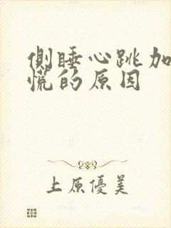 侧睡心跳加速心慌的原因