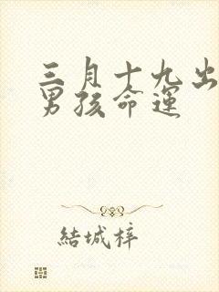 三月十九出生的男孩命运封面