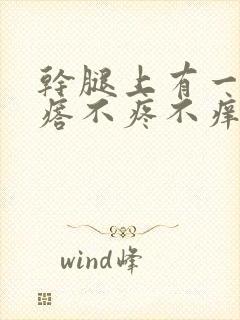 干腿上有一硬疙瘩不疼不痒