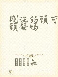 刚洗的头可以染头发吗