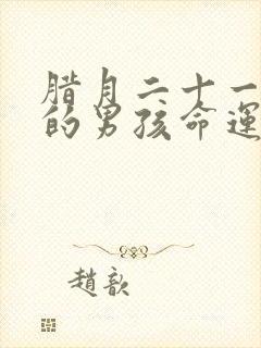 腊月二十一出生的男孩命运