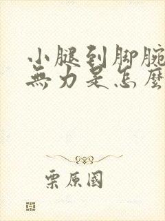 小腿到脚腕酸软无力是怎么回事封面