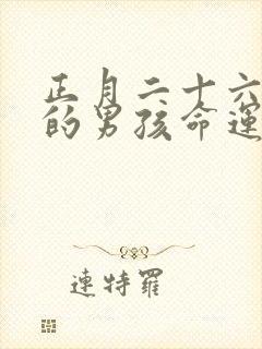 正月二十六出生的男孩命运怎么样封面