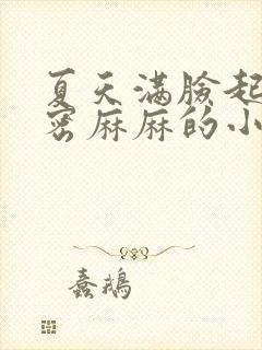 夏天满脸起小密密麻麻的小疙瘩