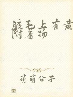 腋毛上有黄黄的附着物