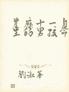 农历十一月十五生的男孩命运