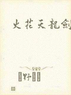 火花天龙剑封面