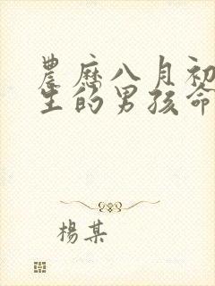 农历八月初六出生的男孩命运封面