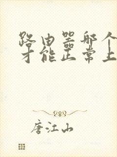 路由器哪个灯亮才能正常上网