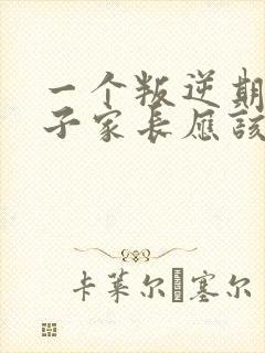 一个叛逆期的孩子家长应该怎么去引导孩子