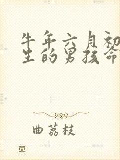 牛年六月初七出生的男孩命运