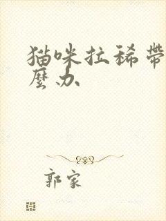 猫咪拉稀带血怎么办封面