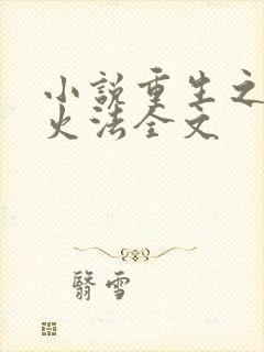 小说重生之狂暴火法全文