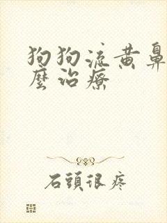 狗狗流黄鼻涕怎么治疗