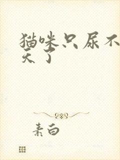 猫咪只尿不拉2天了