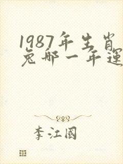 1987年生肖兔哪一年运势最好