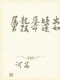 属龙辰时出生的男孩命运如何