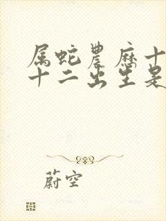 属蛇农历十一月十二出生是什么命