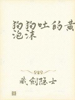 狗狗吐的黄水带泡沫