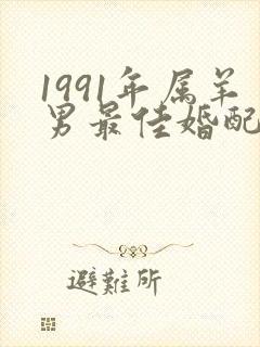 1991年属羊男最佳婚配表