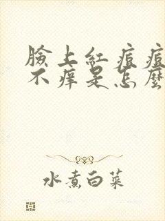 脸上红痘痘不痛不痒是怎么回事