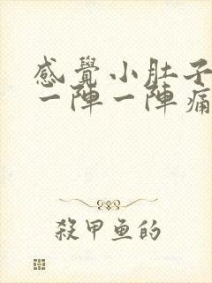 感觉小肚子子宫一阵一阵痛