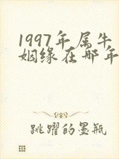 1997年属牛姻缘在哪年最旺盛封面