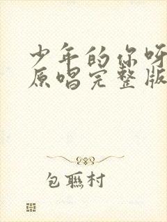 少年的你呀歌曲原唱完整版封面