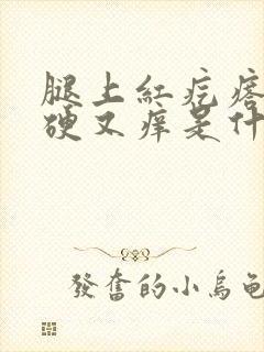 腿上红疙瘩有点硬又痒是什么原因