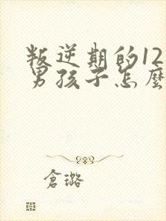 叛逆期的12岁男孩子怎么去引导封面